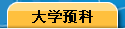 大学预科