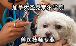 加拿大圣克莱尔学院兽医技师专业